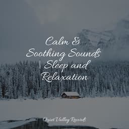 Calm & Soothing Sounds | Sleep and Relaxation - Echoes Of Nature