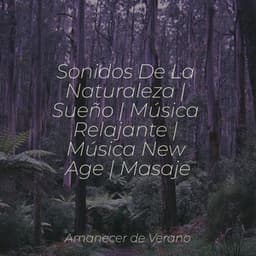Sonidos De La Naturaleza | Sueño | Música Relajante | Música New Age | Masaje - Canciones Infantiles de Niños