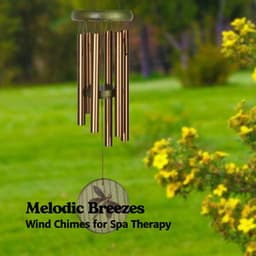 Melodic Breezes: Wind Chimes for Spa Therapy - Background Jazz Melodies