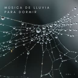 Música De Lluvia Para Dormir Vol. 1 - Lluvia para un sueño profundo