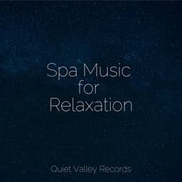 Spa Music for Relaxation - Sons da Natureza