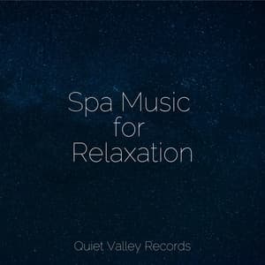 Spa Music for Relaxation - Sons da Natureza
