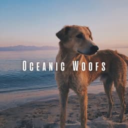 Oceanic Woofs: Chill Music for Dogs by the Ocean - Ocean Sounds FX