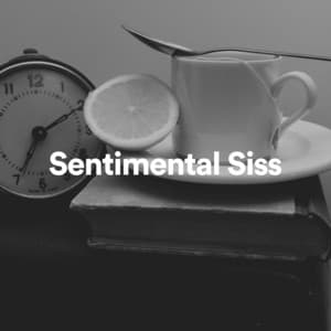 Sentimental Siss - Loopable White Noise