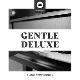 Gentle Deluxe Piano Symphonies - Study Music And Piano Music