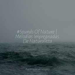 #Sounds Of Nature | Melodías Impregnadas De Naturaleza - Ambiente