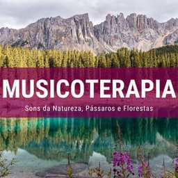 Musicoterapia 2019: Música Relaxante com Sons da Natureza, Pássaros e Florestas - Chakra Música Cura