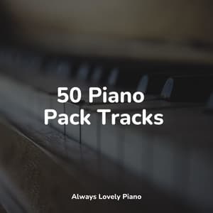 Pleasant Piano - Bedtime Baby