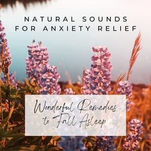 Natural Sounds for Anxiety Relief: Wonderful Remedies to Fall Asleep - Anxiety Relief