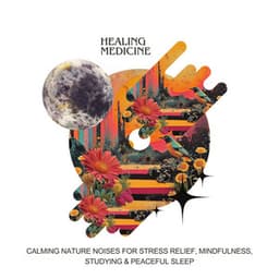 Calming Nature Noises for Stress Relief, Mindfulness, Studying & Peaceful Sleep - Healing Medicine