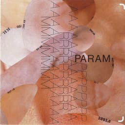 Param - Marcus Schmickler