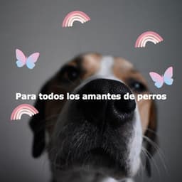 Para todos los amantes de perros - Musica de Piano Clásicos