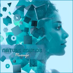 Nature Sounds Massage: Relaxing Spa Music for Natural Treatments, Massage, Self-Care - Harmony Nature Sounds Academy