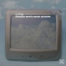 Pleased White Noise Session - Loopable Radiance