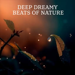 Deep Dreamy Beats Of Nature: Slow Healthy Melodies For Peaceful People And Open Minds - A Little Hope