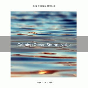 ! ! ! ! ! ! ! ! ! ! ! Calming Ocean Sounds vol. 2 - Water Sounds