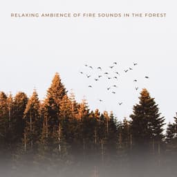 Relaxing Ambience Of Fire Sounds In The Forest - Relating Noises