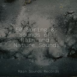 50 Spring & Sounds of Rain and Nature Sounds - Sons da natureza HD