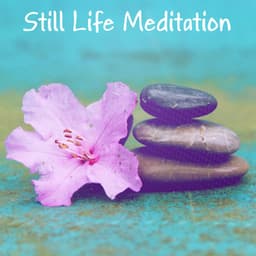 Still Life Meditation - Meditación Interna