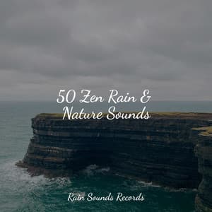 50 Zen Rain & Nature Sounds - Natureza