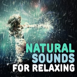 Natural Sounds for Relaxing - Sleep Music with Nature Sounds Relaxation