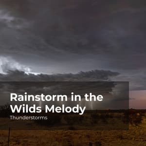 Rainstorm in the Wilds Melody - Thunderstorms