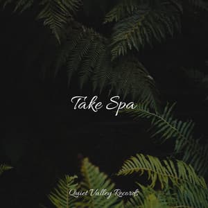 Take Spa - Ocean Sounds