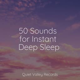 50 Sounds for Instant Deep Sleep - The White Noise Zen & Meditation Sound Lab