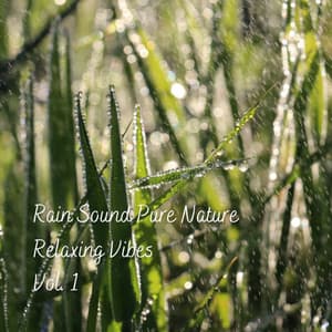 Rain Sound Pure Nature Relaxing Vibes Vol. 1 - Natural Woodland Sounds