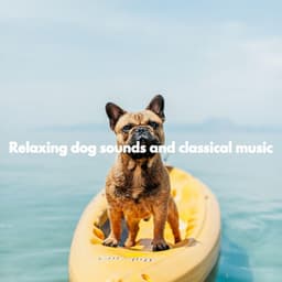 Relaxing dog sounds and classical music - Deluxe Elevator Music
