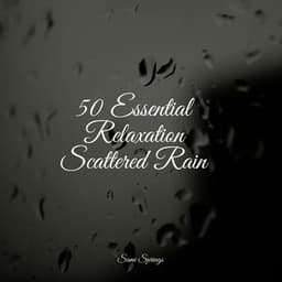 50 Essential Relaxation Scattered Rain - Rain Makers