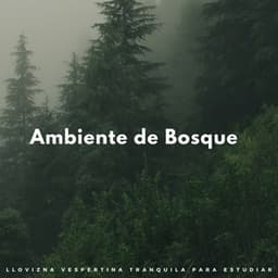 Ambiente De Bosque: Llovizna Vespertina Tranquila Para Estudiar - HD lluvia y agua