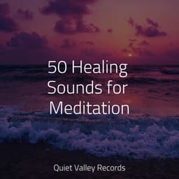 50 Healing Sounds for Meditation - Relaxation Sleep Meditation