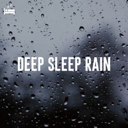 Deep Sleep Rain - Rain Sounds Lab