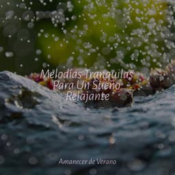 Melodías Tranquilas Para Un Sueño Relajante - Massage Therapy Music
