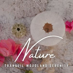 Soothing Meditation in the Forest: Woodland Whispers - Soothing Meditative Tunes