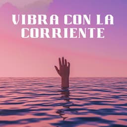 Vibra Con La Corriente - Lo-Fi para estudiar