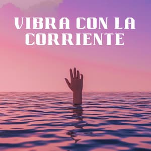 Vibra Con La Corriente - Lo-Fi para estudiar