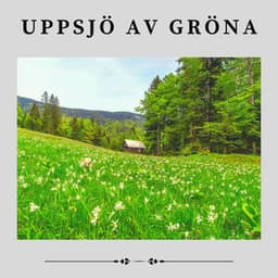 Uppsjö av Gröna - Naturljud