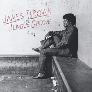 In The Jungle Groove - James Brown