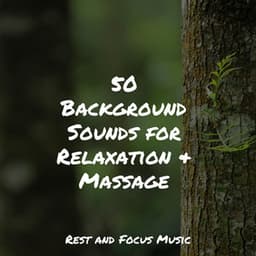 50 Background Sounds for Relaxation & Massage - Pink Noise