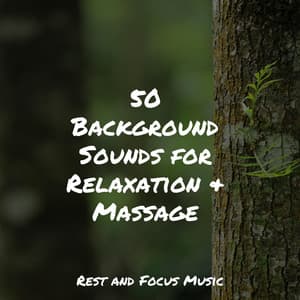 50 Background Sounds for Relaxation & Massage - Pink Noise