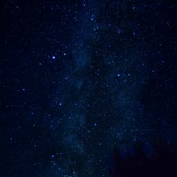 10 AM Woodlands: Ethereal Slumber - Baltic Nature Sounds