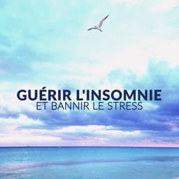 Guérir l'insomnie et bannir le stress: Musique Pure Relaxation avec le son des vagues apaisantes - Oasis de Musique Nature Relaxante