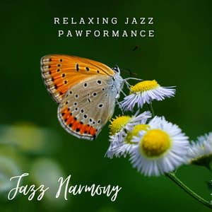 Paws & Jazz Harmony: Lounge Grooves for Pets - Cafe Music Deluxe