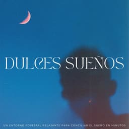 Dulces Sueños: Un Entorno Forestal Relajante Para Conciliar El Sueño En Minutos - Grabaciones de la naturaleza