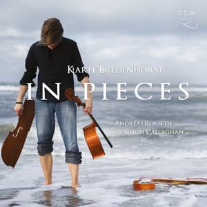 In Pieces - Karel Bredenhorst