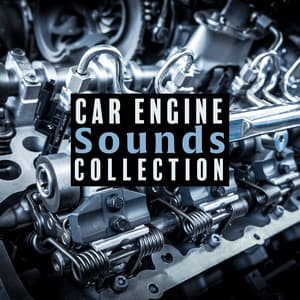 Car Engine Sounds Collection - Brian Dern