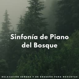 Sinfonía De Piano Del Bosque: Relajación Serena Y De Ensueño Para Mascotas - Novela de piano