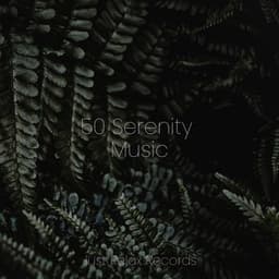 50 Serenity Music - Exam Study Classical Music